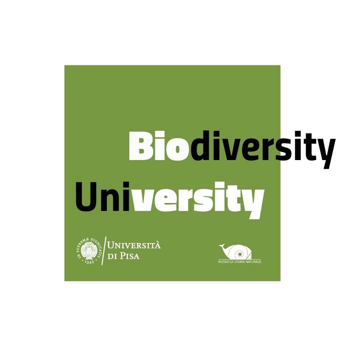 Bioversity - Museo di Storia Naturale dell'Università di Pisa
