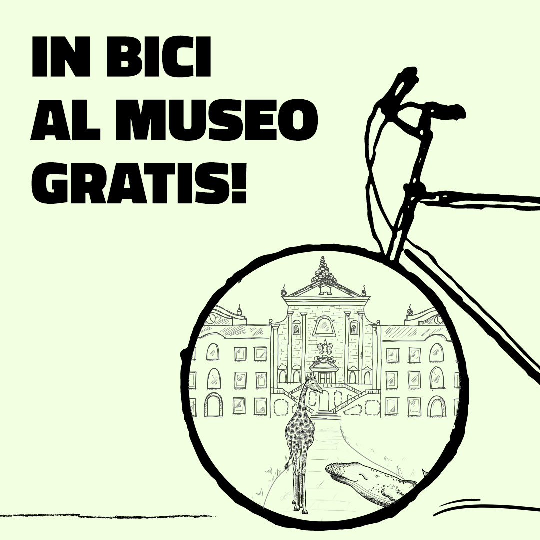 Giornata mondiale della bicicletta - Museo di Storia Naturale dell ...