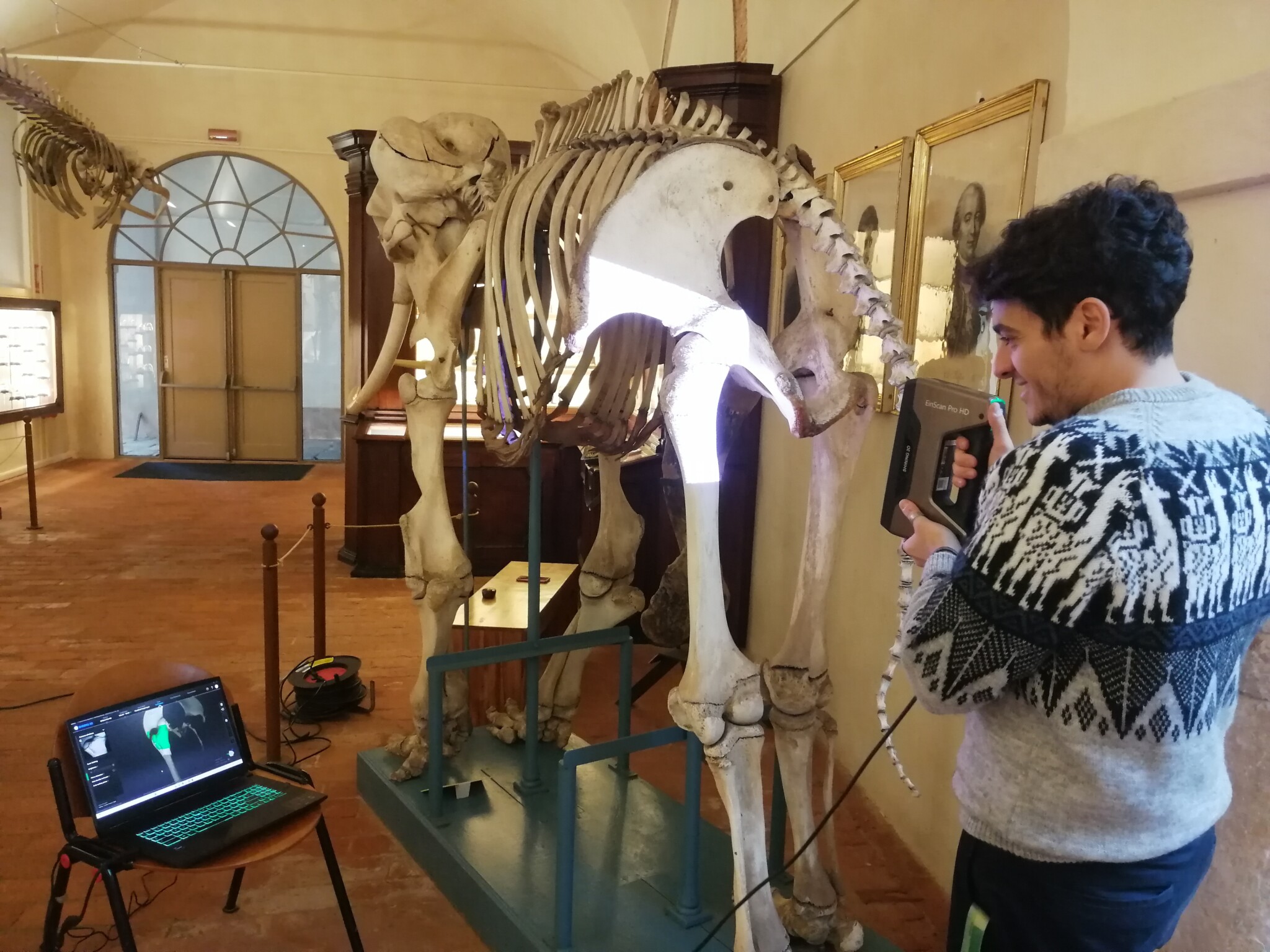 museo di storia naturale dell'università di pisa foto