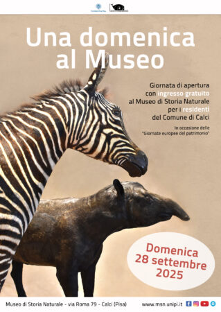 Domenica al museo locandina 28 settembre 2025