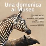 Una domenica al Museo anteprima