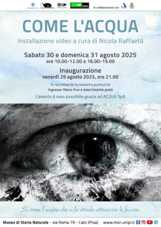Locandina "Come l'acqua"