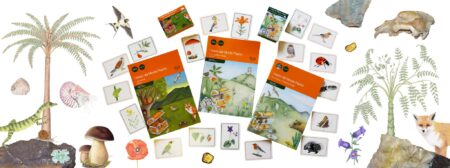 Banner trilogia tesori monte pisano