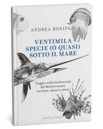 Copertina Ventimila specie (o quasi) sotto il mare