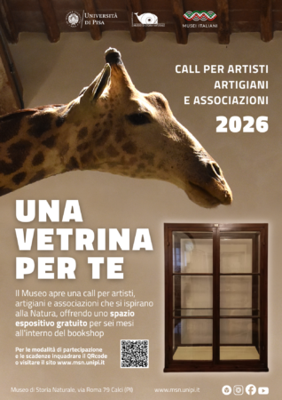 Call artisti vetrina