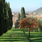 Spazi verdi della Certosa