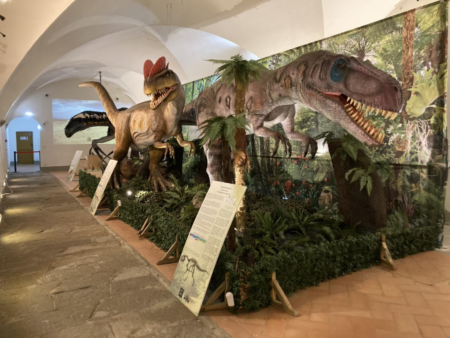 Dinosauri