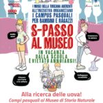 Campi pasquali 2026 immagine in evidenza