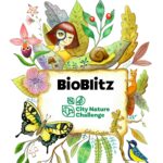 Bioblitz Monte Pisano 2026