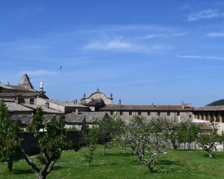 Bioblitz degli spazi verdi della Certosa