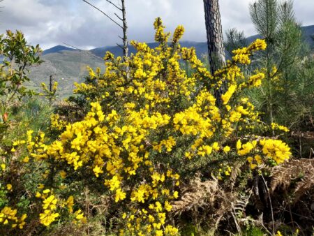 Escursione Moriglion di Penna