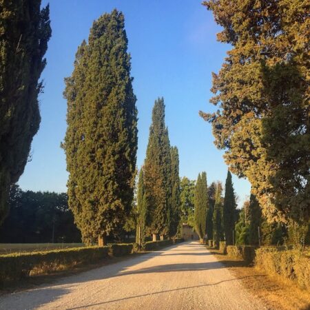 Escursione Anello delle Pianore