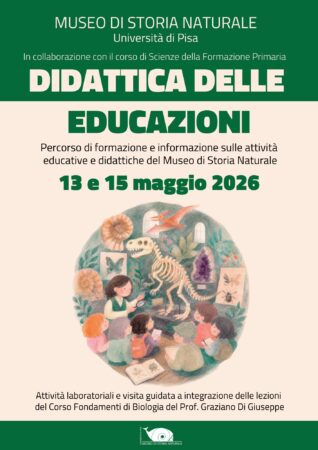 Locandina didattica delle educazioni