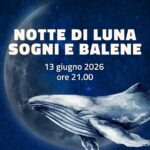 Notte di luna sogni e balene immagine in evidenza