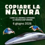 Immagine in evidenza Copiare la natura