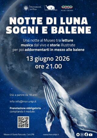 Locandina notte di luna sogni e balene