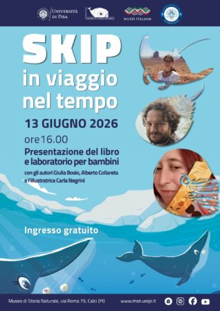 Locandina Skip