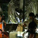 Duetto di violoncellisti nella Galleria dei cetacei