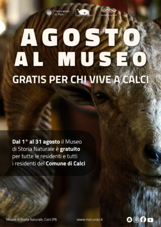 Locandina Agosto al Museo