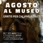 Agosto al Museo immagine in evidenza