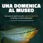 Domenica al Museo quadrata