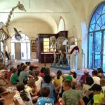 Campi estivi al Museo gruppo in visita