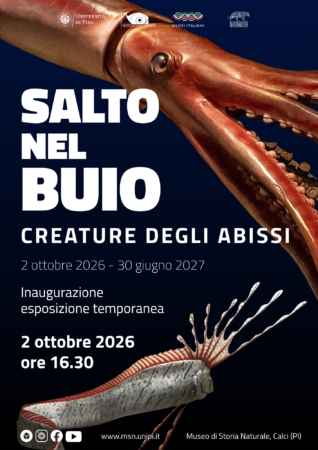 Locandina Salto nel buio