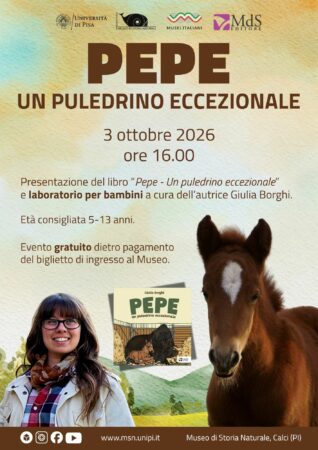 Pepe un puledrino eccezionale