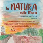Locandina natura sulle mura immagine in evidenza